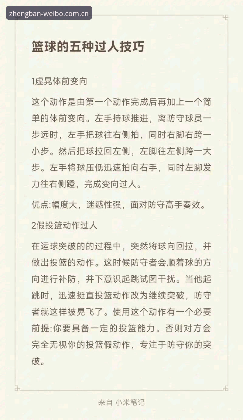 伟博体育最新网址 伟博体育官方入口全面解析:从新手到高手的完整操作指南
