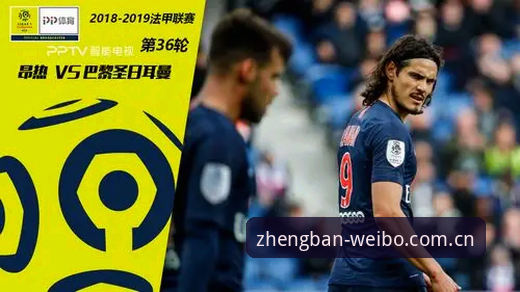 伟博体育官方网址常见问题 伟博体育官方网址常见问题完整指南:资深用户手把手教你安全直达入口