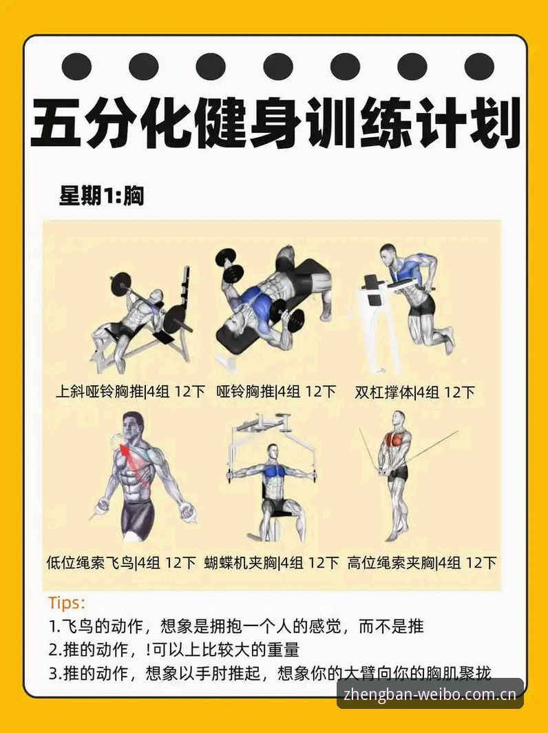 伟博体育最新版本功能详解 伟博体育最新版本功能详解:6个关键升级点提升你的体育互动体验